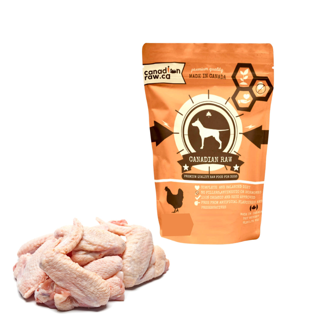 Is raw chicken outlet wings good for dogs